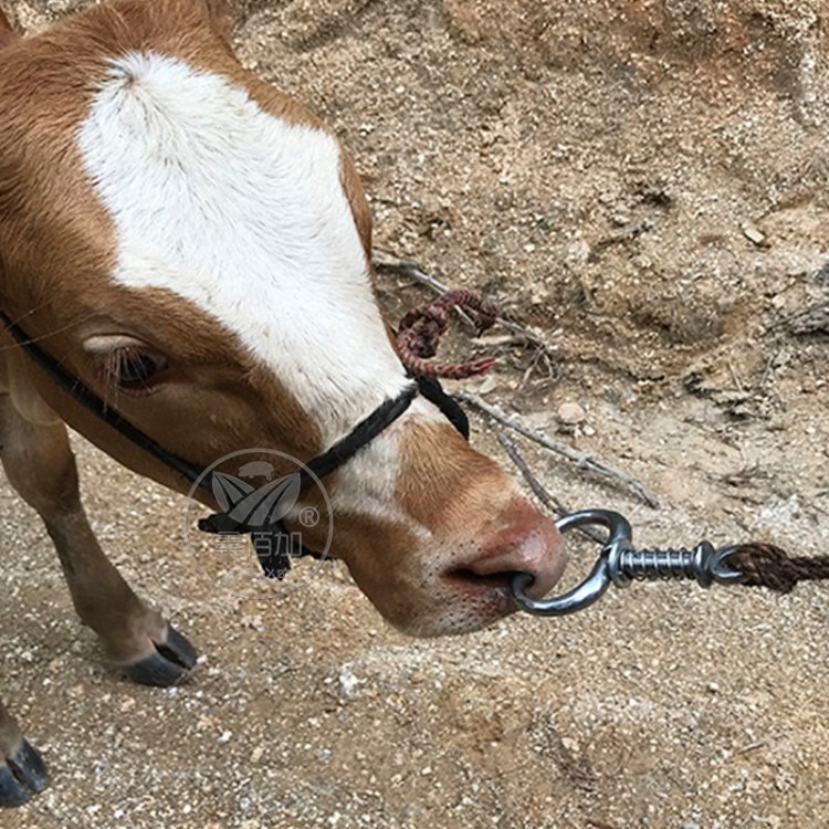 兽用器械牛鼻环批发 牛鼻环安装牛鼻夹子牛鼻钳鑫佰