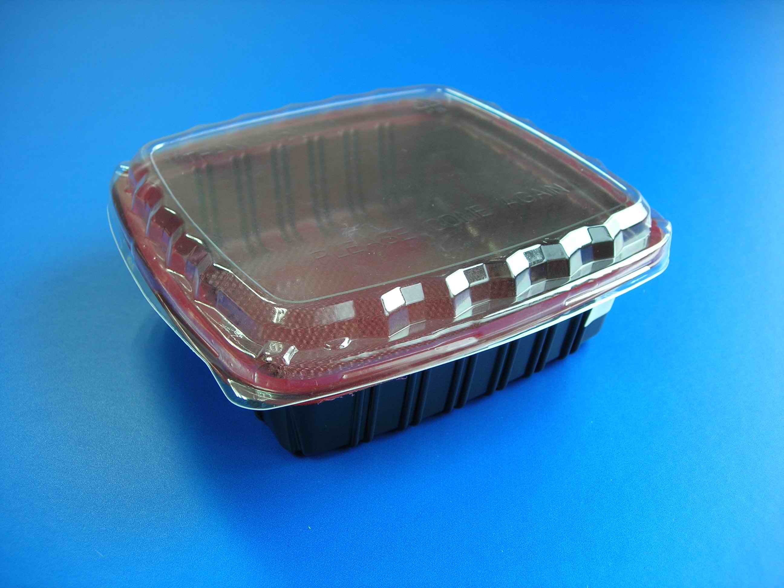 专业生产一次性塑料食品盒