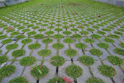 大同植草格廠家 求購價格