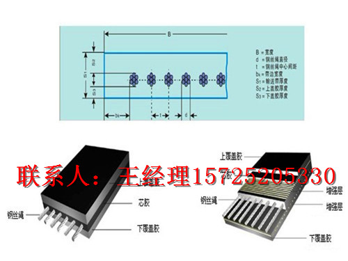青岛钢丝皮带厂家/青岛钢丝绳输送带直销
