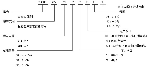 DS4000压力变送器