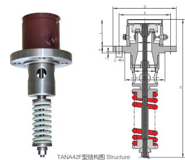 TANA42F-25型内装式安全阀  (1).jpg