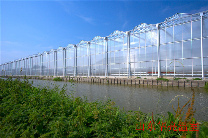 建造异形温室餐厅,智能生态餐厅温室大棚简介