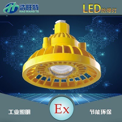 化工厂专用LED防爆灯功率30W 浩旺特品牌