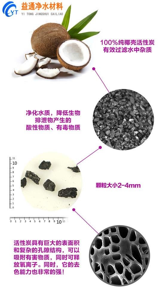 煤质活性炭多少钱一吨/果壳活性炭多少钱一吨