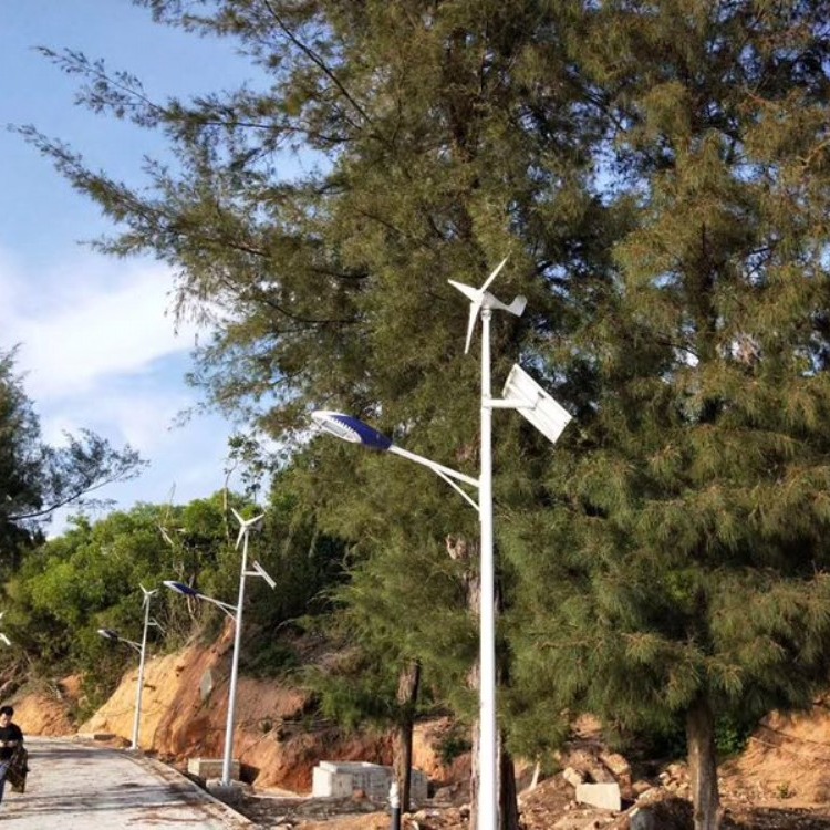 300W永磁风能发电风力发电机 永动小型风力发电机  微风启动 风光互补发电设备