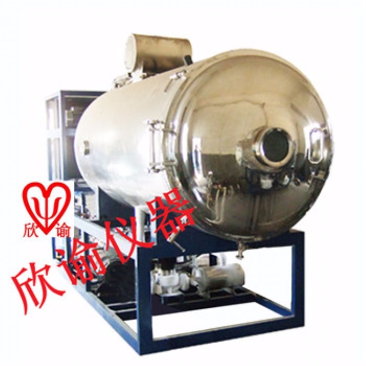 生产型冻干机XY-GY-20果蔬冷冻干燥机石墨烯大型冻干机