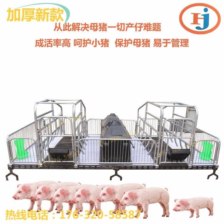 农业母猪产床 母猪分娩床 复合板母猪产床厂家直销