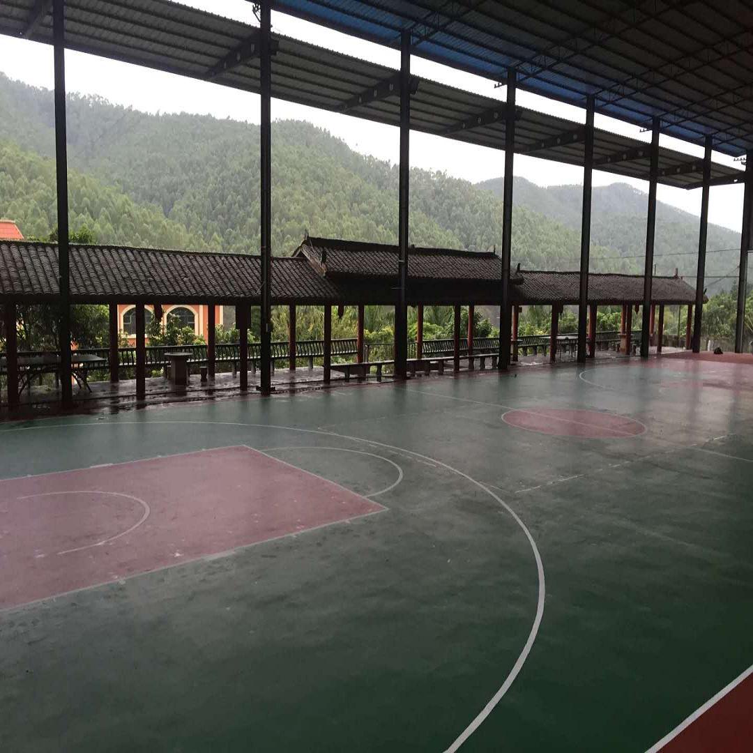 田阳县哪里有做塑胶跑道的，硅pu篮球场材料专卖店