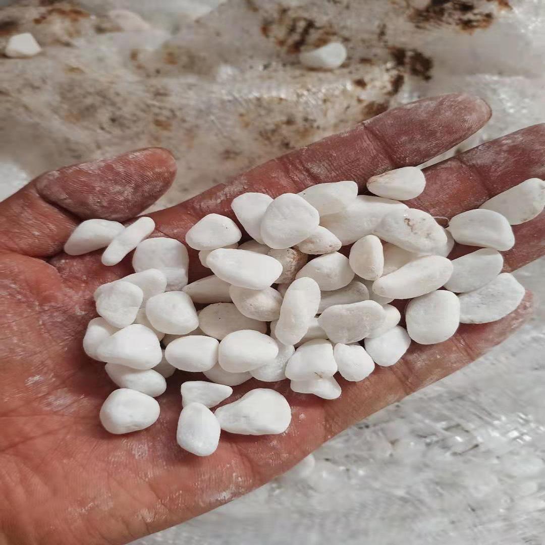 纯白色鹅卵石厂家加盟商  淄博6-9毫米白色水洗石厂家加盟商