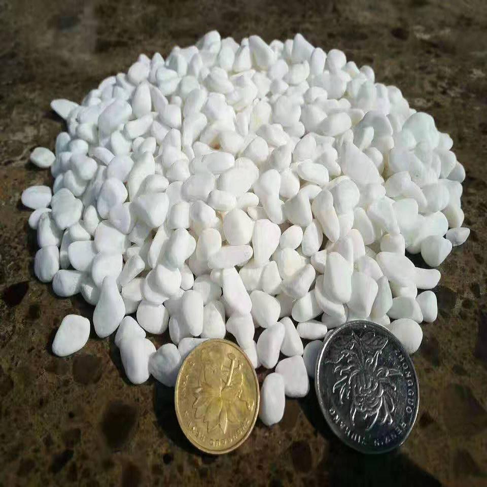 3-5 5-8厘米白色鹅卵石厂家批发  潍坊4-6毫米白色鹅卵石厂家批发