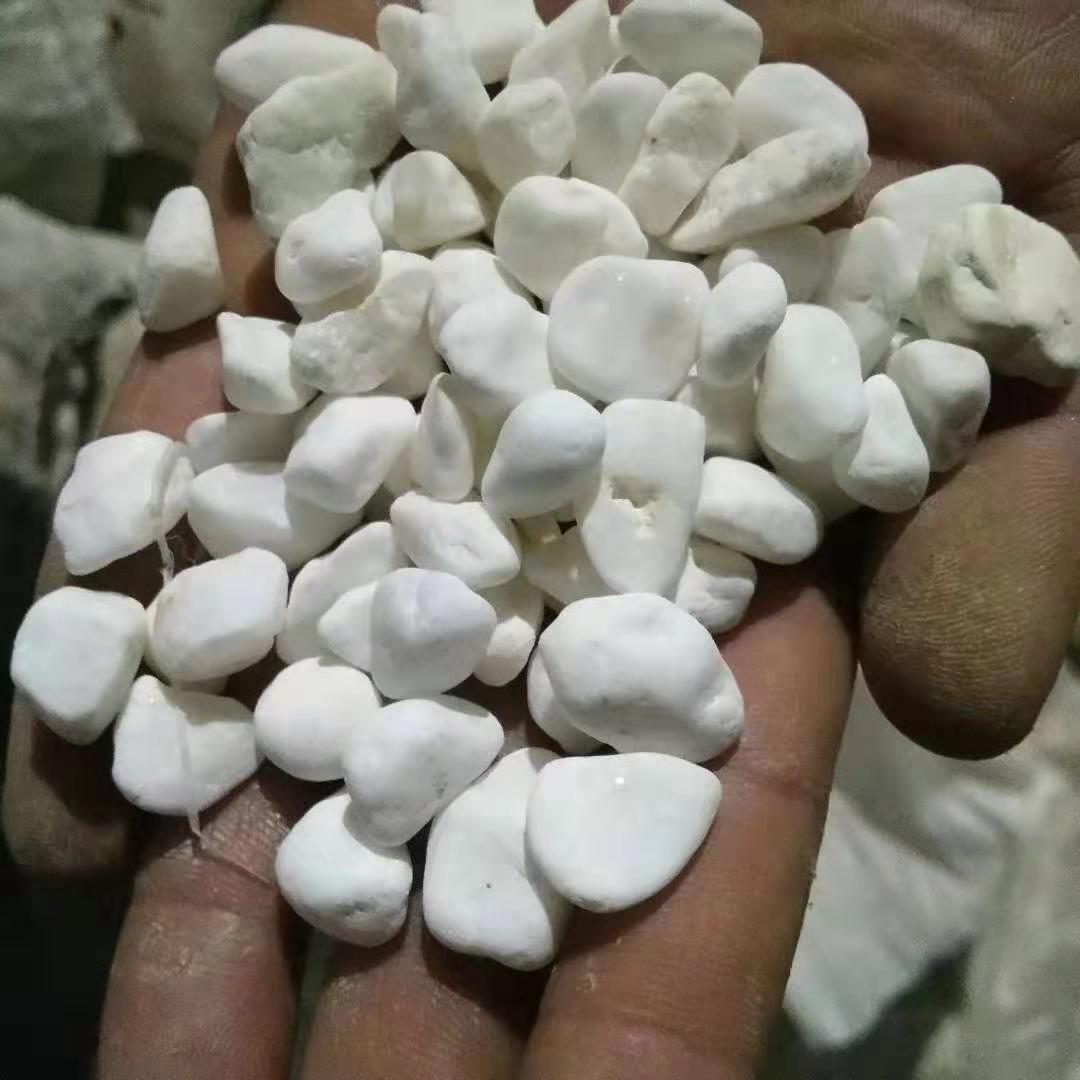 3-5 5-8厘米白色鹅卵石厂家批发  潍坊4-6毫米白色鹅卵石厂家批发