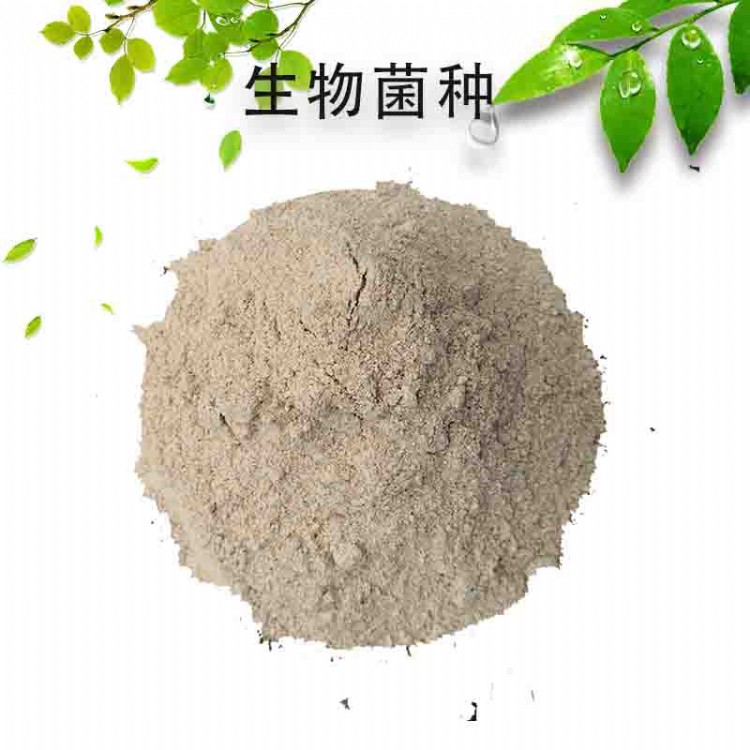 调水生物菌种-反硝化菌种的培养时间-缺氧池专用一体化设备