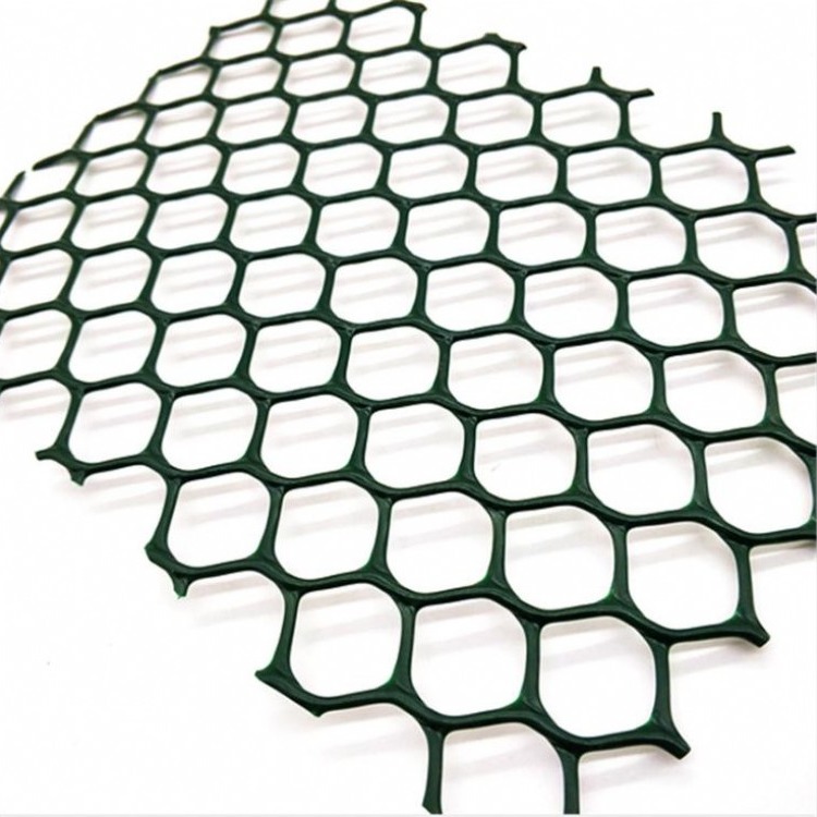 厂价供应优质CE塑料土工网 加筋防护土工网 高强土工网格