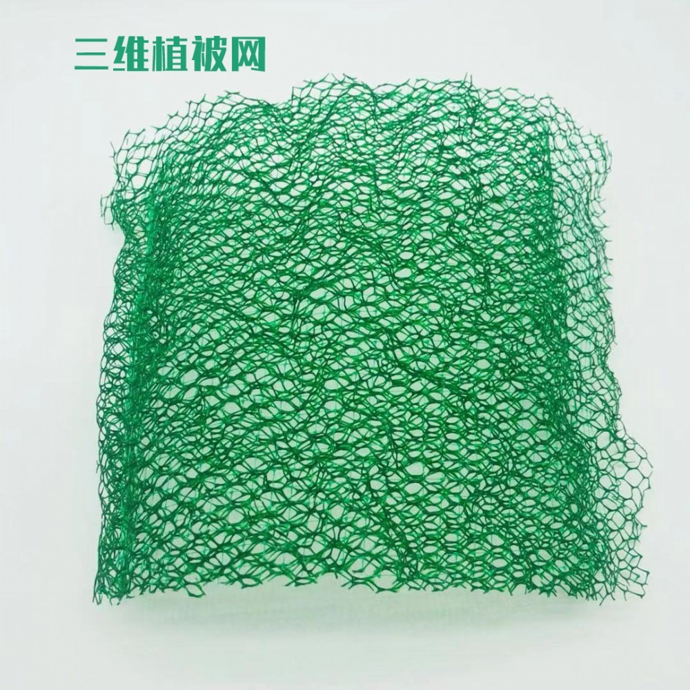 生态绿色护坡三维植被网 规格齐全可降解土工网垫