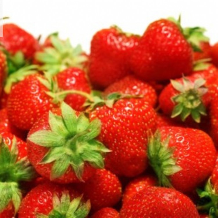 草莓种植架-A字架-无土栽培-移动苗床-潮汐苗床-生产厂家