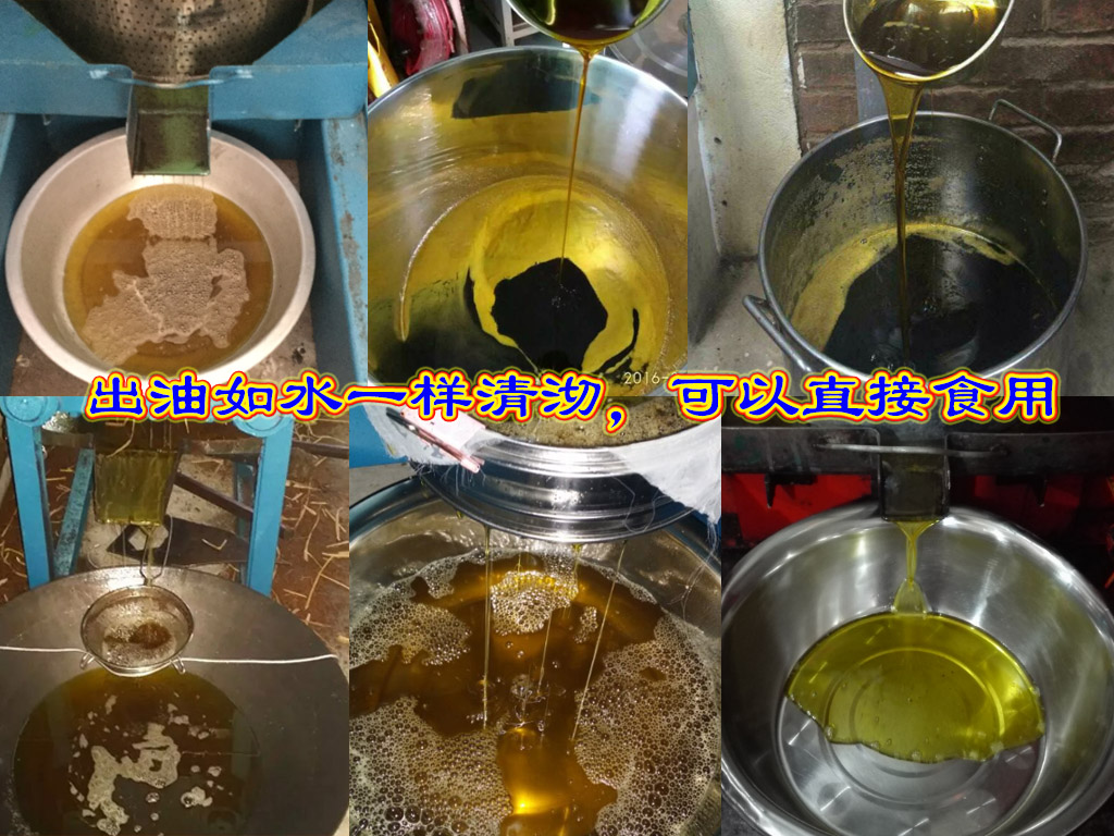 榨油機眾民牌液壓榨油機立式全新款320-a中大型商用適用於榨茶籽菜