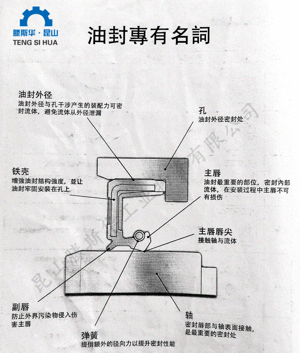 油封专有名词.jpg